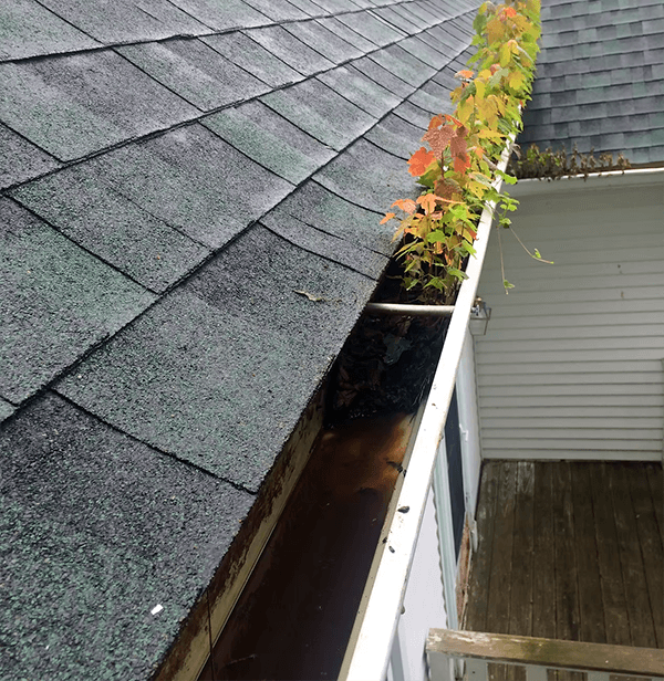 Gutters Cleaning image